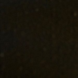 Meet your Posher, Raul